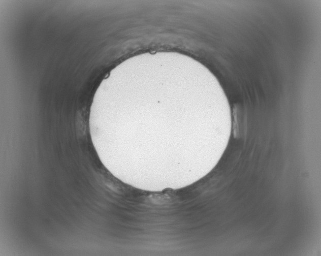 X0000074291491200609222255