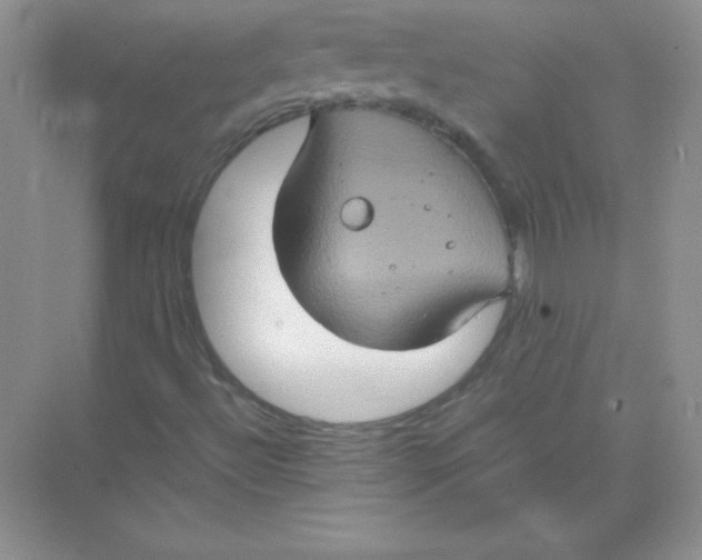 X0000074291492200609222255