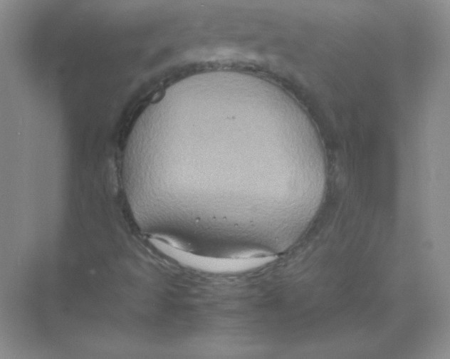 X0000074291493200609222255