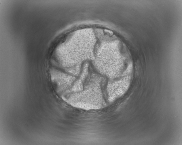 X0000074291494200609222255