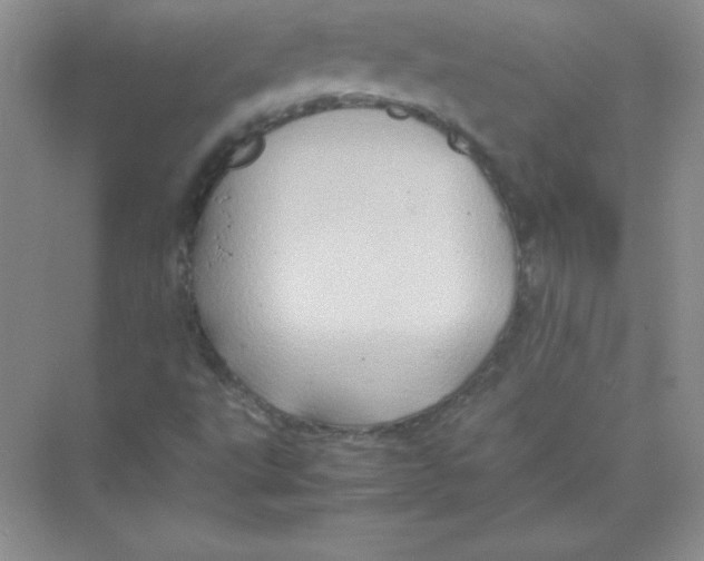 X0000074291495200609222255