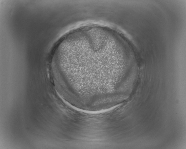 X0000074291496200609222255