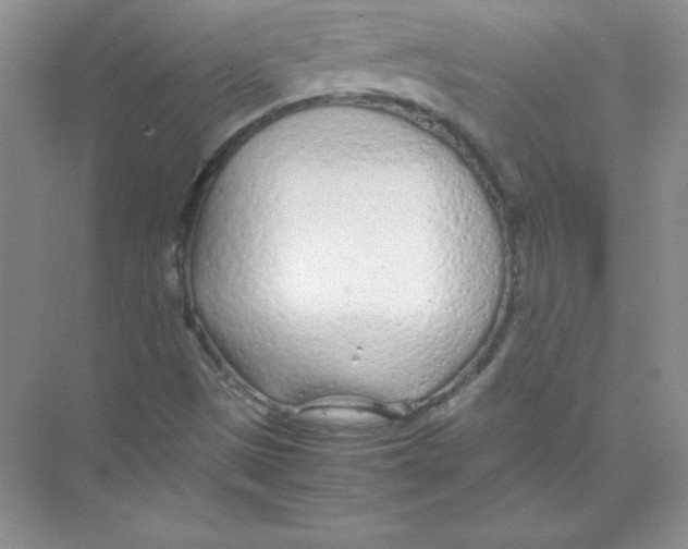 X0000074291497200609222255