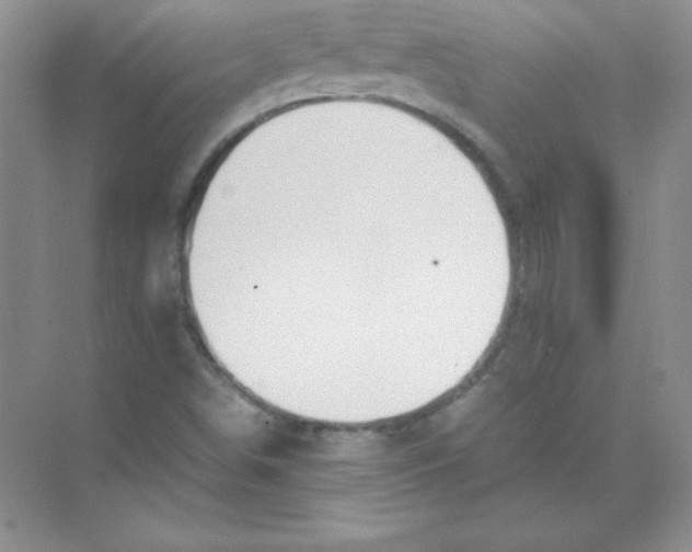 X0000074291498200609222255