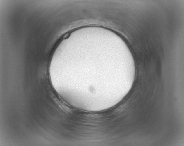 X0000074291499200609222255