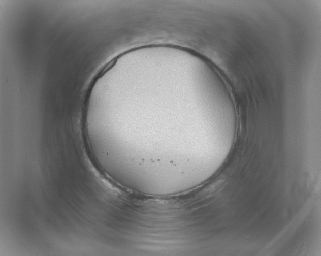 X0000074291500200609222255