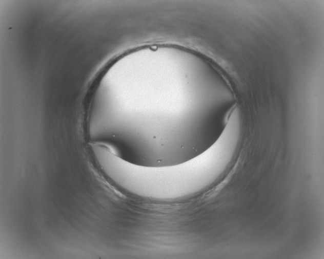 X0000074291502200609222255