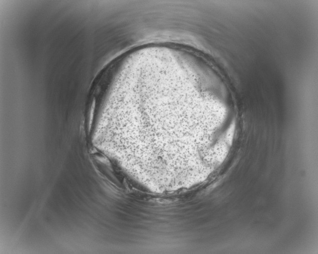 X0000074291505200609222255