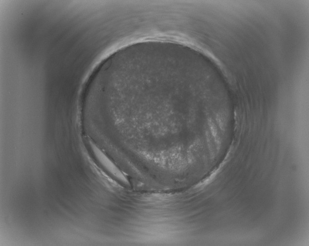 X0000074291506200609222255