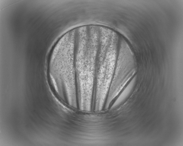 X0000074291508200609222255