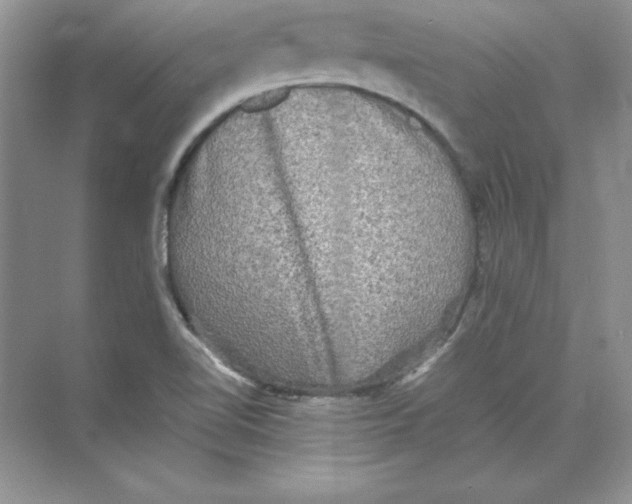 X0000074291510200609222256