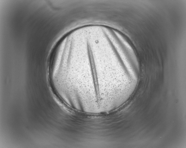 X0000074291511200609222256