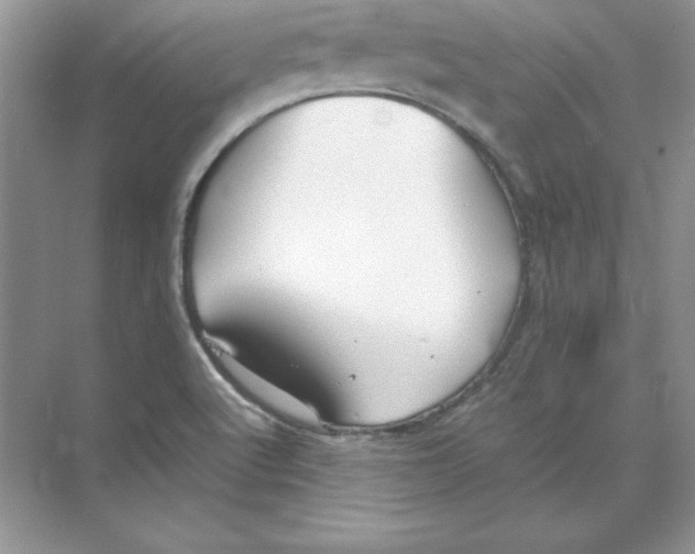 X0000074291512200609222256