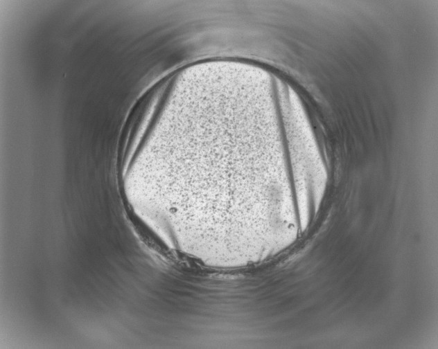 X0000074291513200609222256