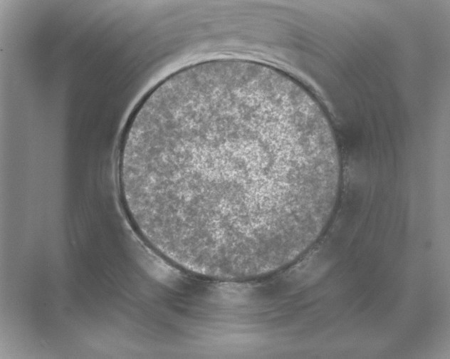 X0000074291514200609222256