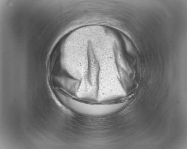 X0000074291515200609222256