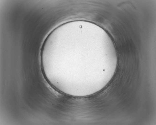 X0000074291516200609222256