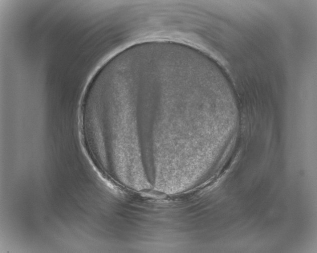 X0000074291517200609222256