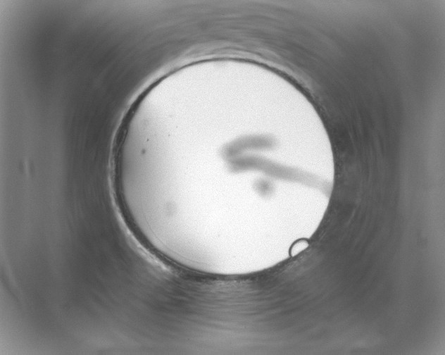 X0000074291518200609222256