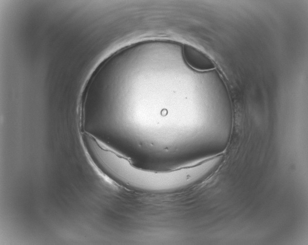 X0000074291519200609222256