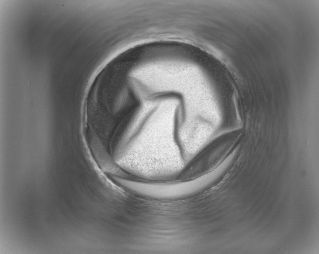 X0000074291520200609222256