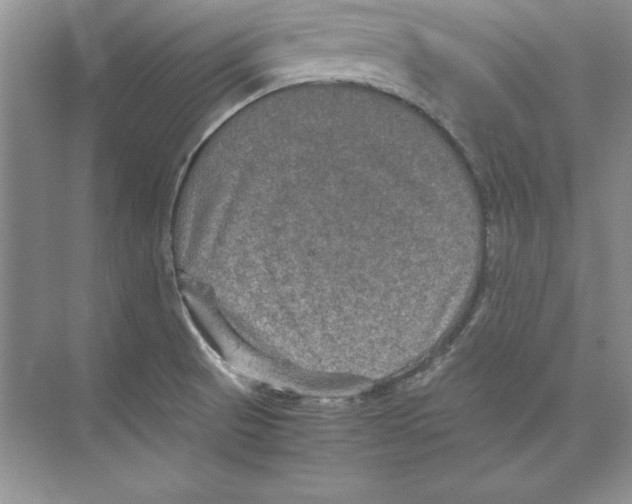 X0000074291521200609222256