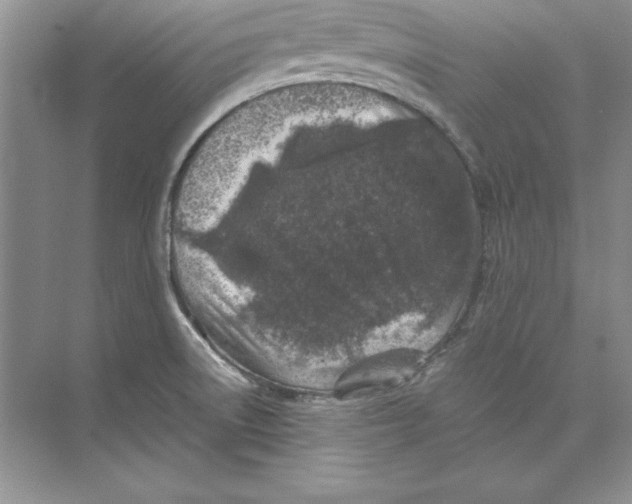 X0000074291522200609222256