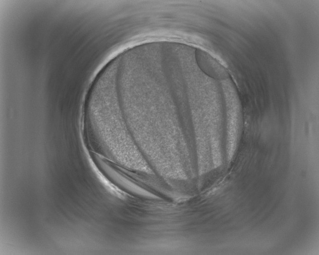 X0000074291523200609222256