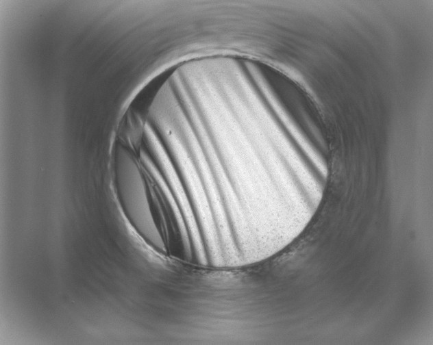 X0000074291524200609222256