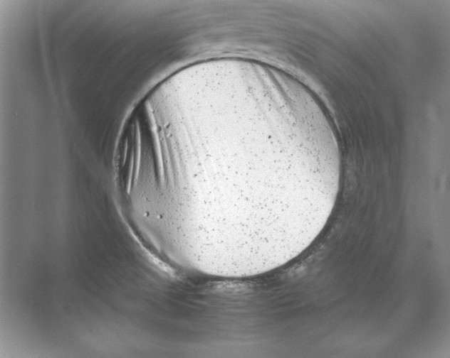 X0000074291525200609222256