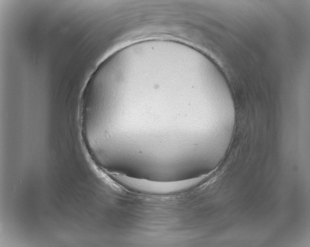 X0000074291526200609222256