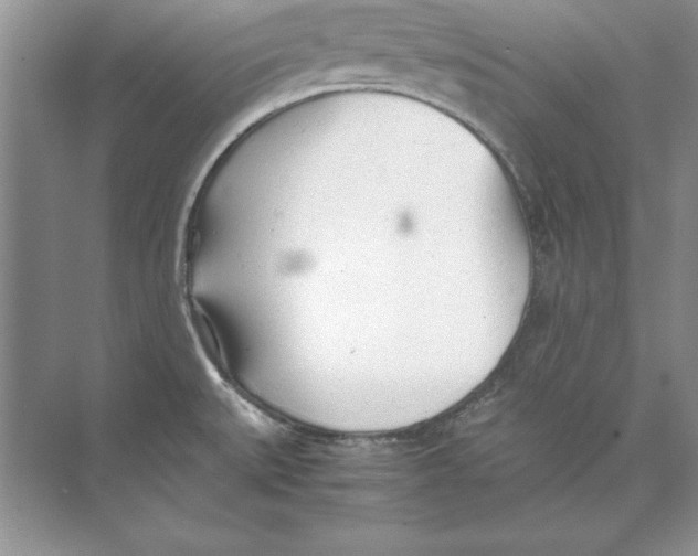 X0000074291527200609222256