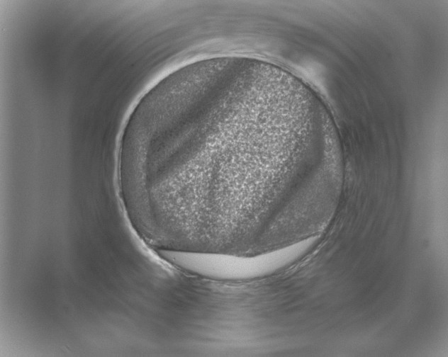 X0000074291528200609222256