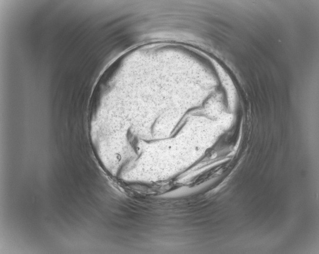 X0000074291529200609222256