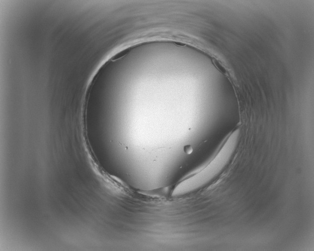 X0000074291530200609222256