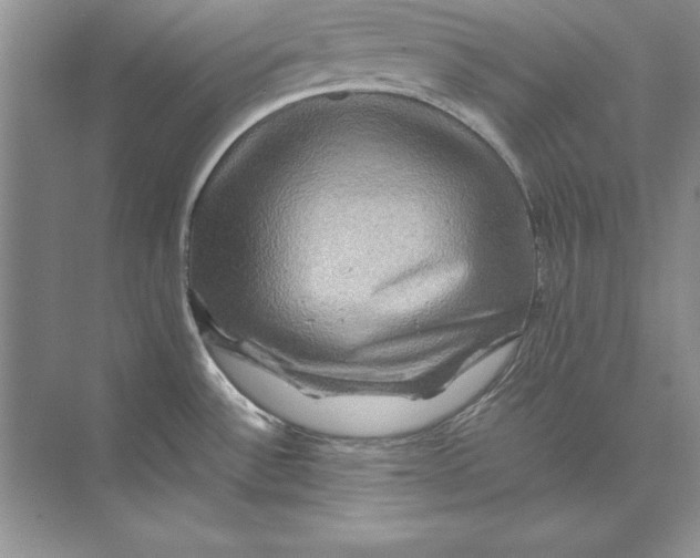 X0000074291532200609222256