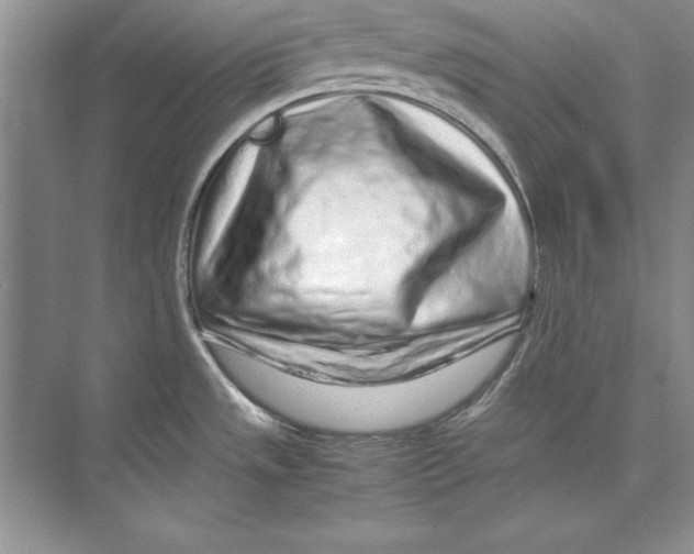 X0000074291533200609222256