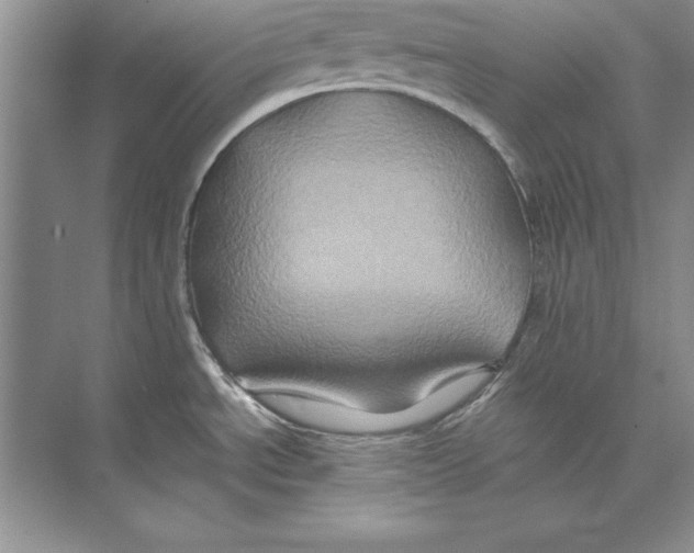 X0000074291534200609222256