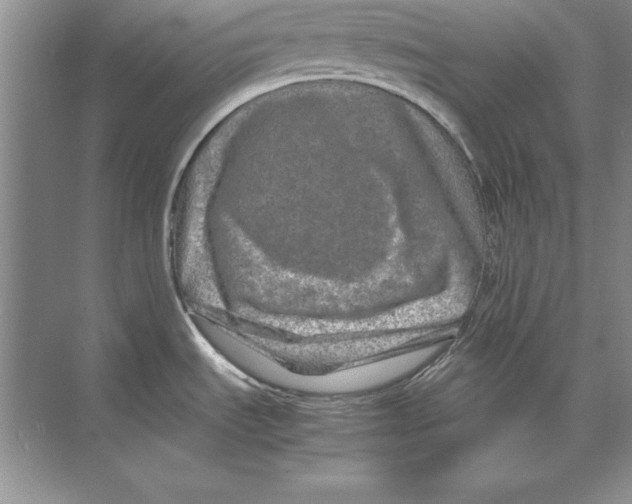 X0000074291535200609222256