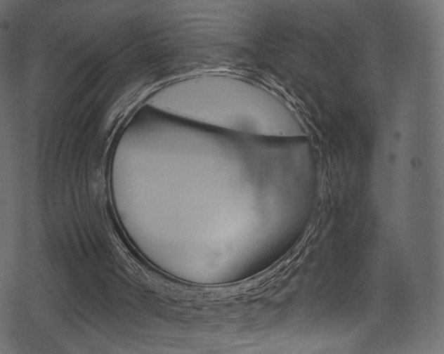 X0000074300002200608251004