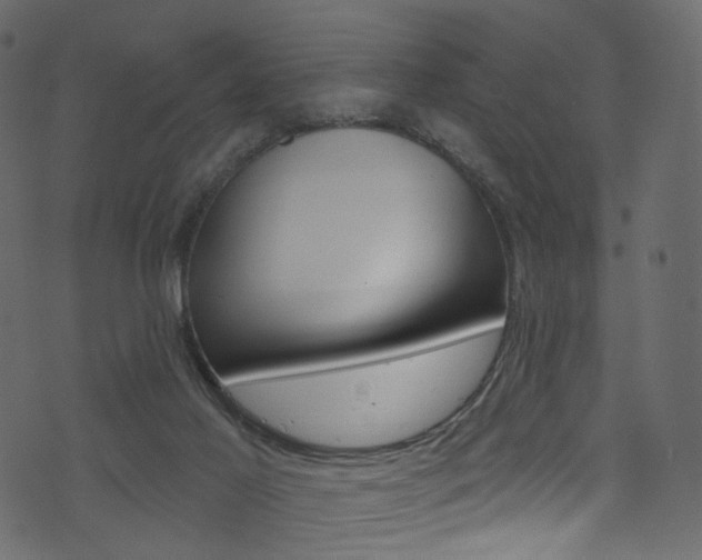 X0000074300021200608251003