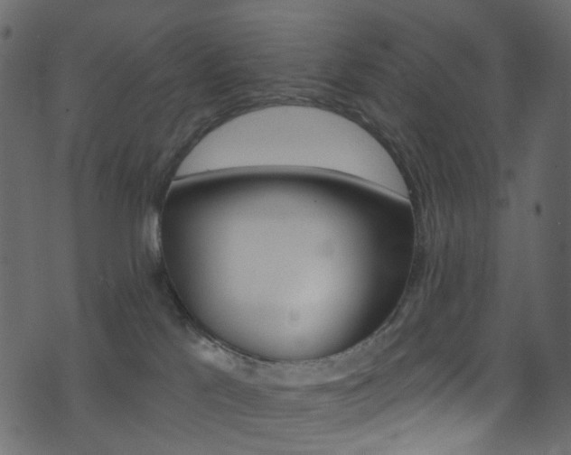 X0000074300041200608251003