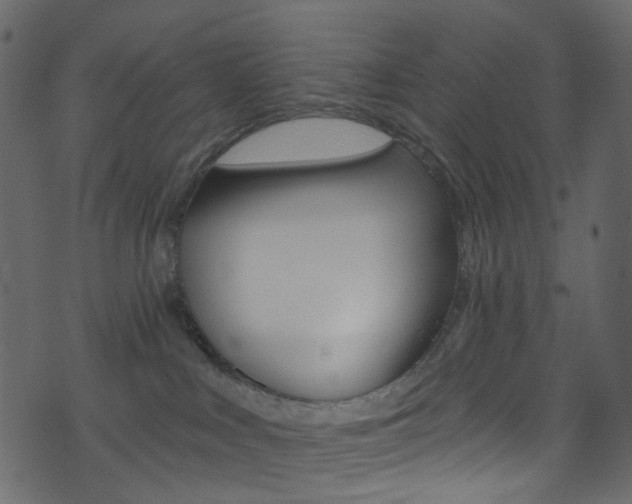 X0000074300043200608251003