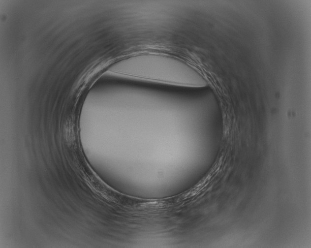 X0000074300050200608251002