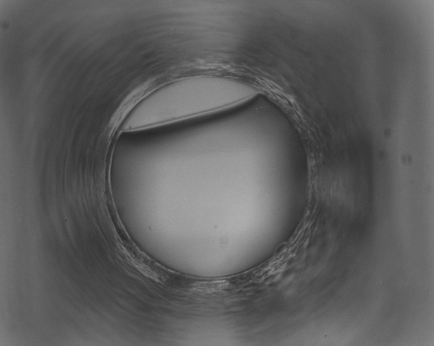 X0000074300051200608251002