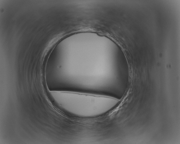 X0000074300055200608251002