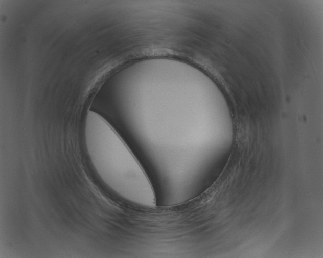 X0000074300063200608251002