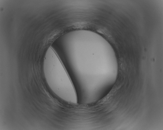 X0000074300066200608251002