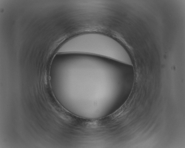 X0000074300068200608251003