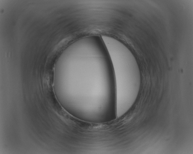 X0000074300072200608251003